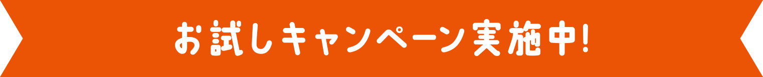 お試しキャンペーン実施中！